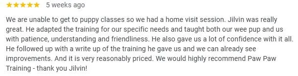 Screenshot of a five-star review praising Jilvin for puppy training, noting their patience, understanding, friendliness, and good results.