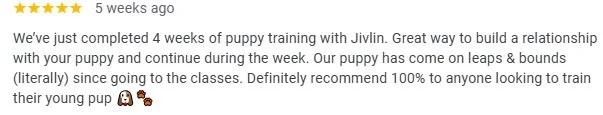 Customer review with 5-star rating about puppy training experience with Jivlin and a photo of a puppy.