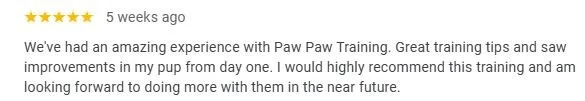 A customer review for Paw Paw Training praising the training tips and improvements with their dog.