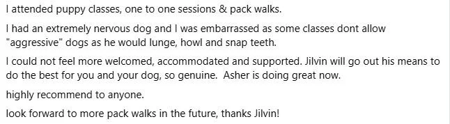 Screenshot of a typed message or review about attending puppy classes, mentioning nervousness, dog behavior, and positive experiences with a dog trainer named Jilvin.