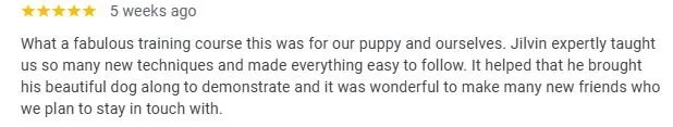 Customer review about a puppy training course, mentioning trainers, techniques, and socialization.