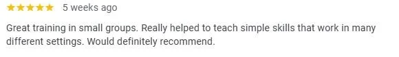 Customer review praising small group training for teaching simple skills across various settings.