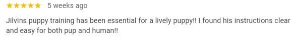 Customer review about Jilvins puppy training, praising its effectiveness for puppies and humans.
