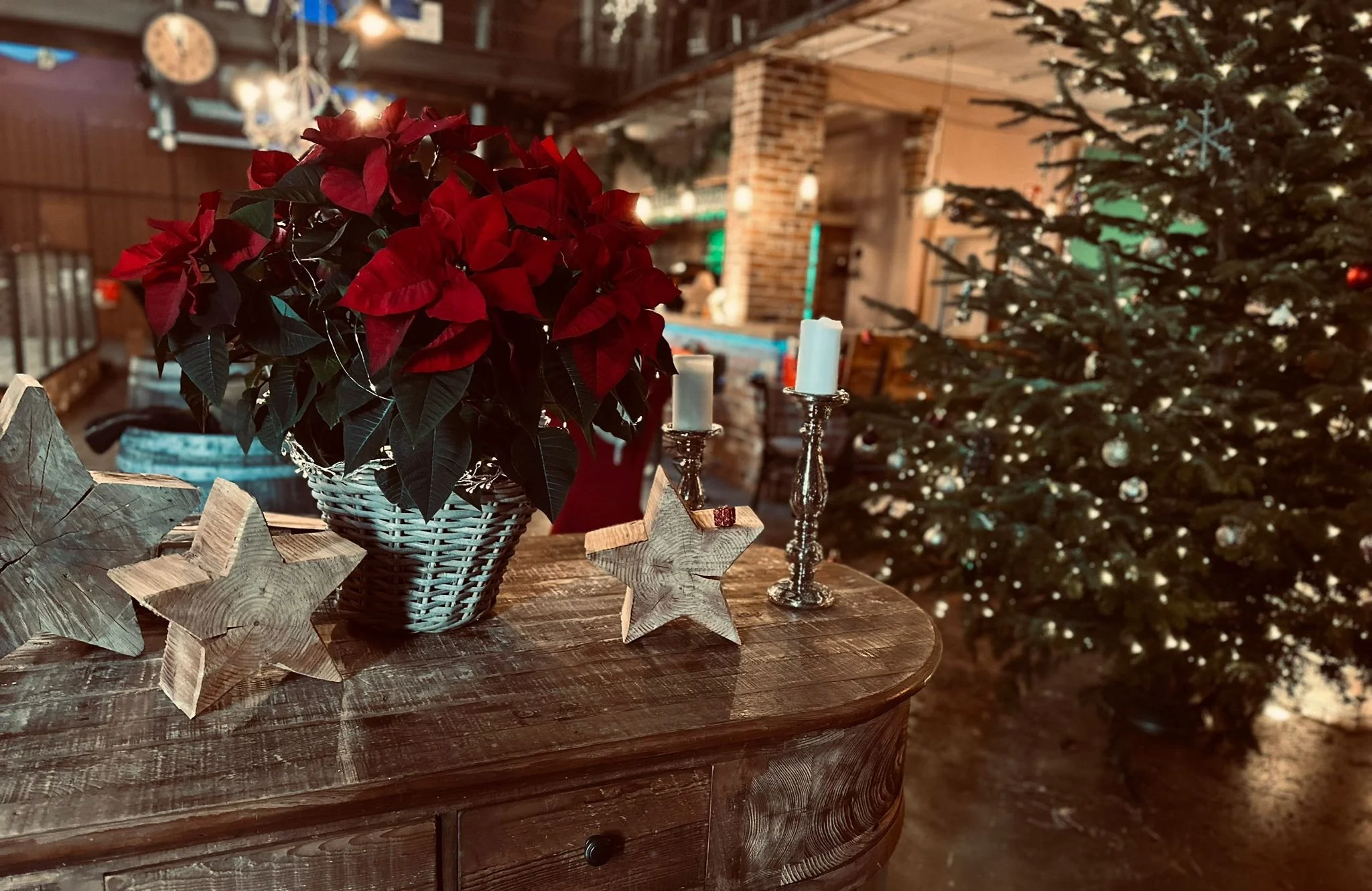 Ein rustikaler Holztisch mit Weihnachtsdeko, darunter eine weiße Korb-Pflanze mit roten Weihnachtssternen, zwei Kerzen auf silbernen Kerzenständern und Holzstern-Dekorationen, im Hintergrund ein Weihnachtsbaum mit Kugeln und Lichterketten.