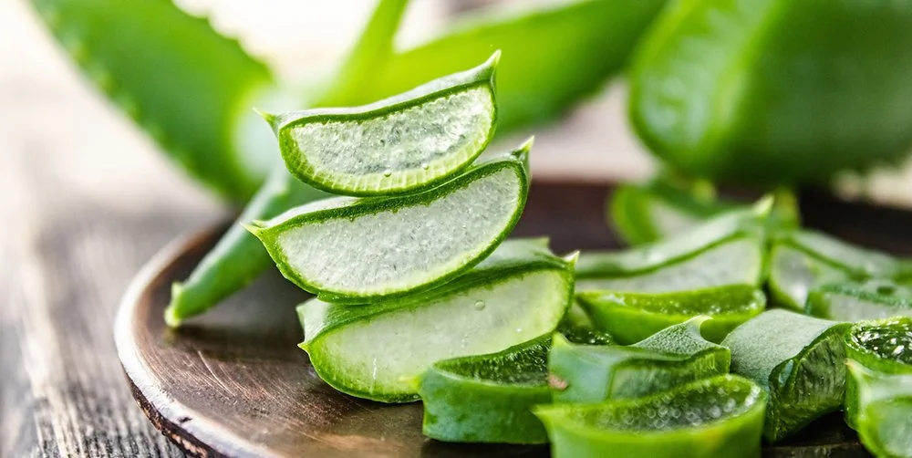 Aloe Vera.jpg