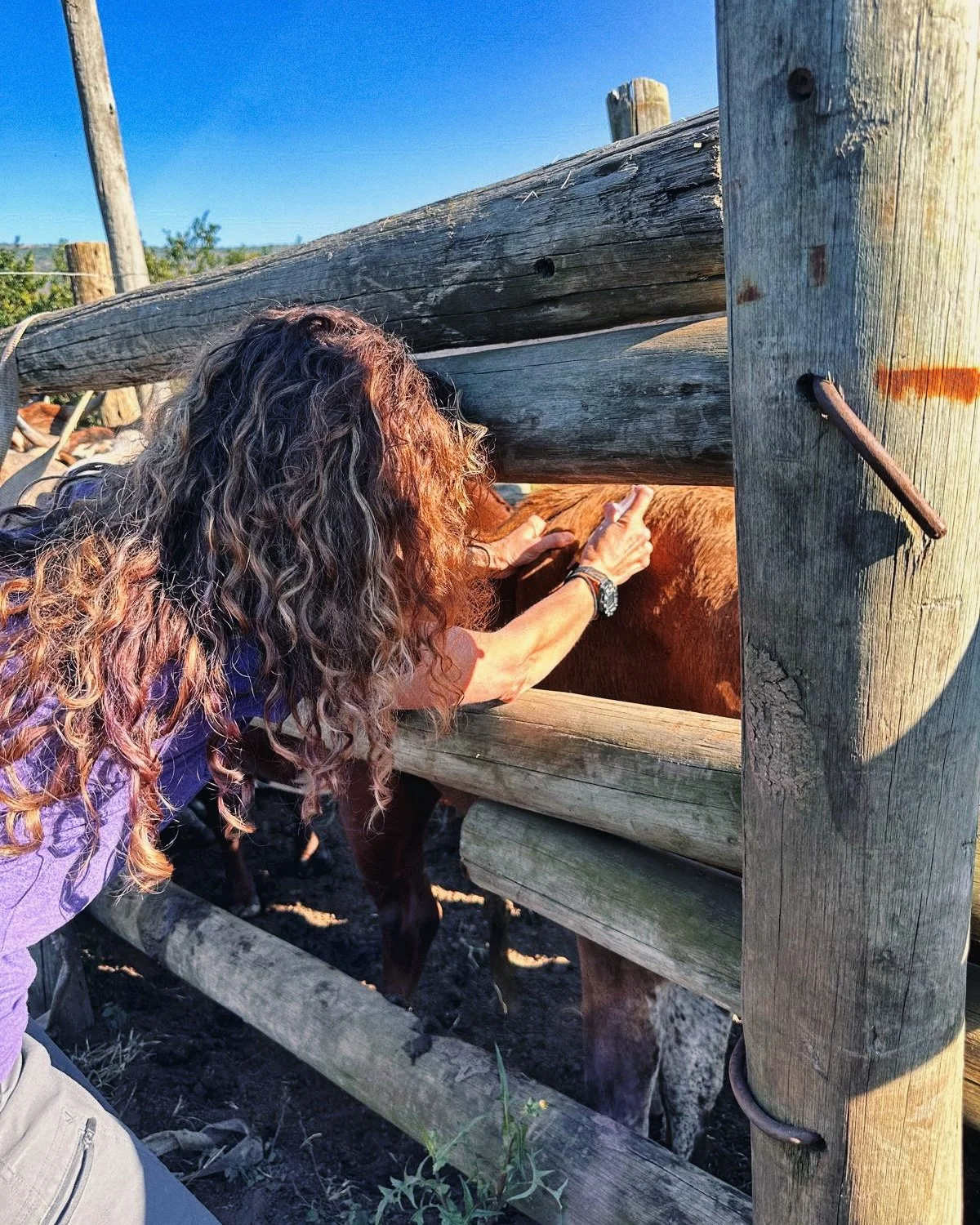 WVC 2024-06-06 at 15.03.53.jpeg