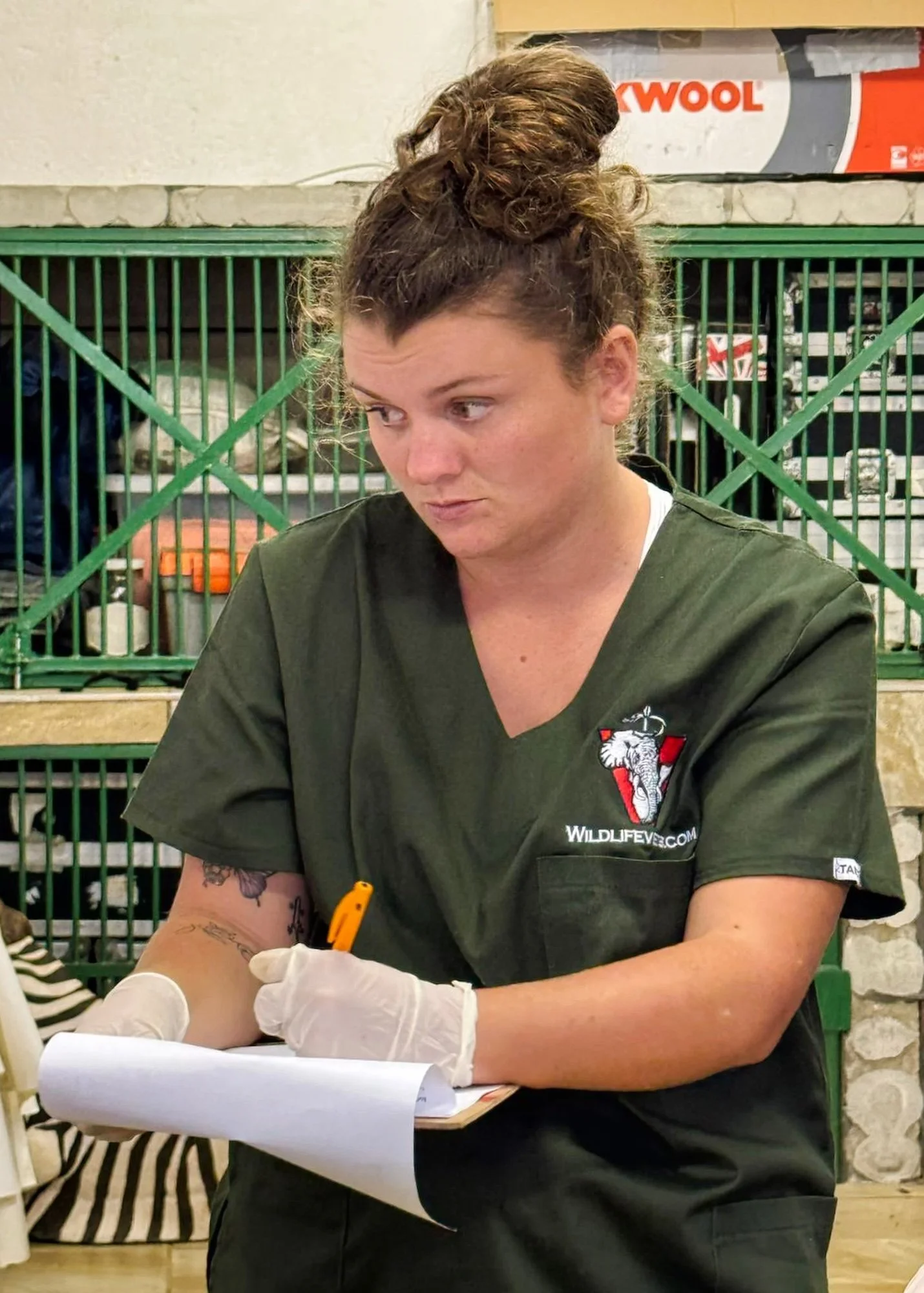 WhatsApp Image 2024-06-08 at 21.24.47.jpeg