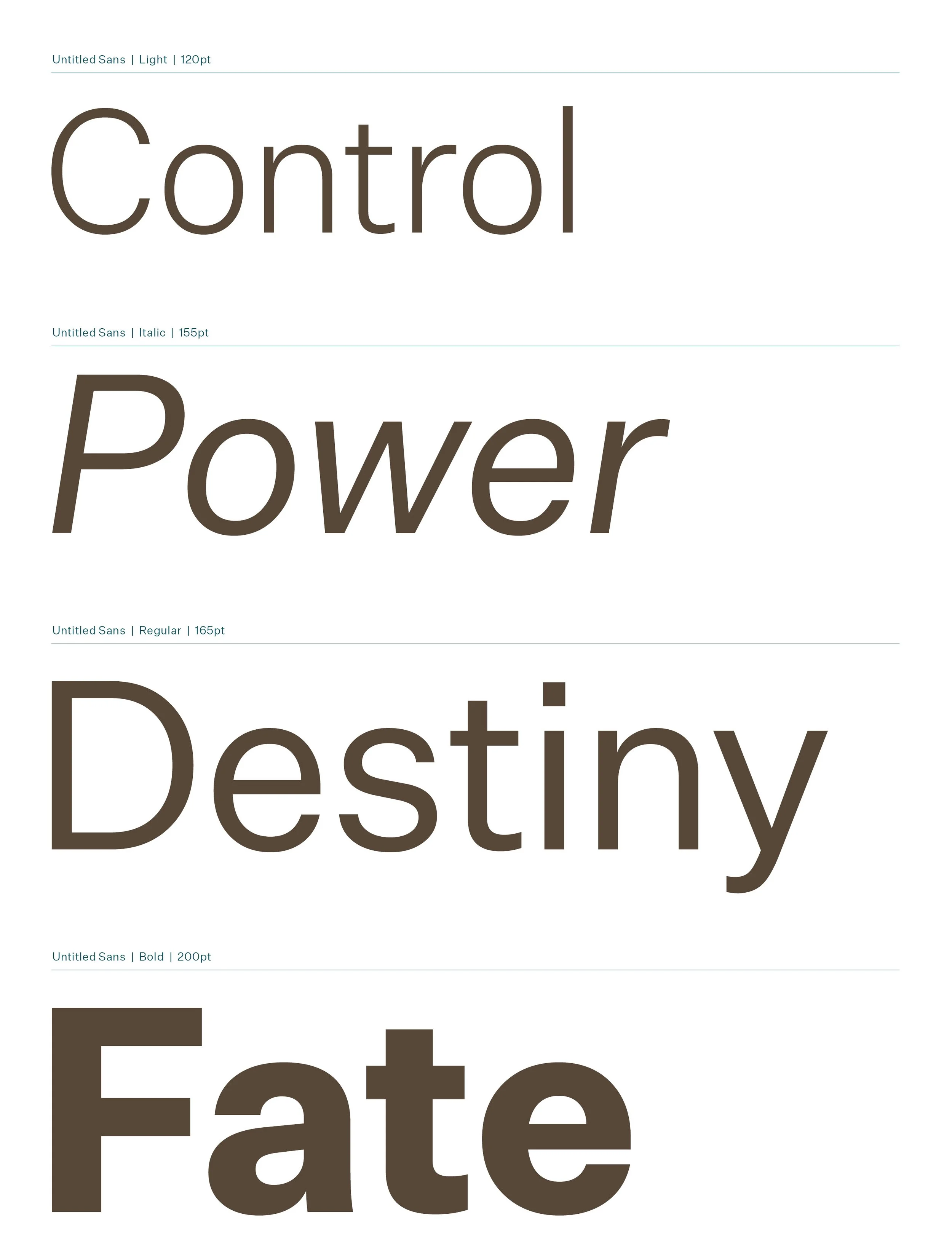 specimen guide11.jpg