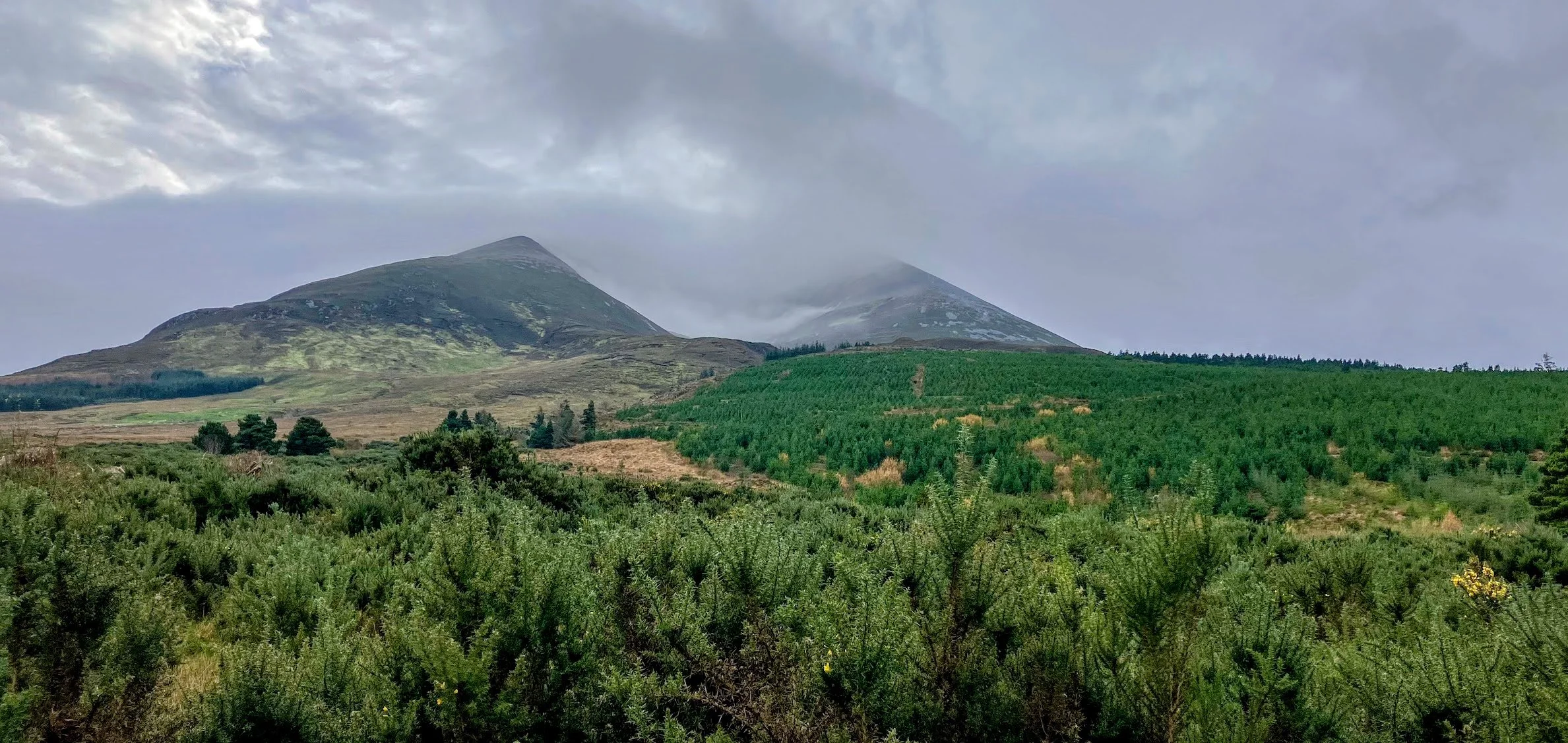 Nephin Mountain, Co Mayo_master.jpg