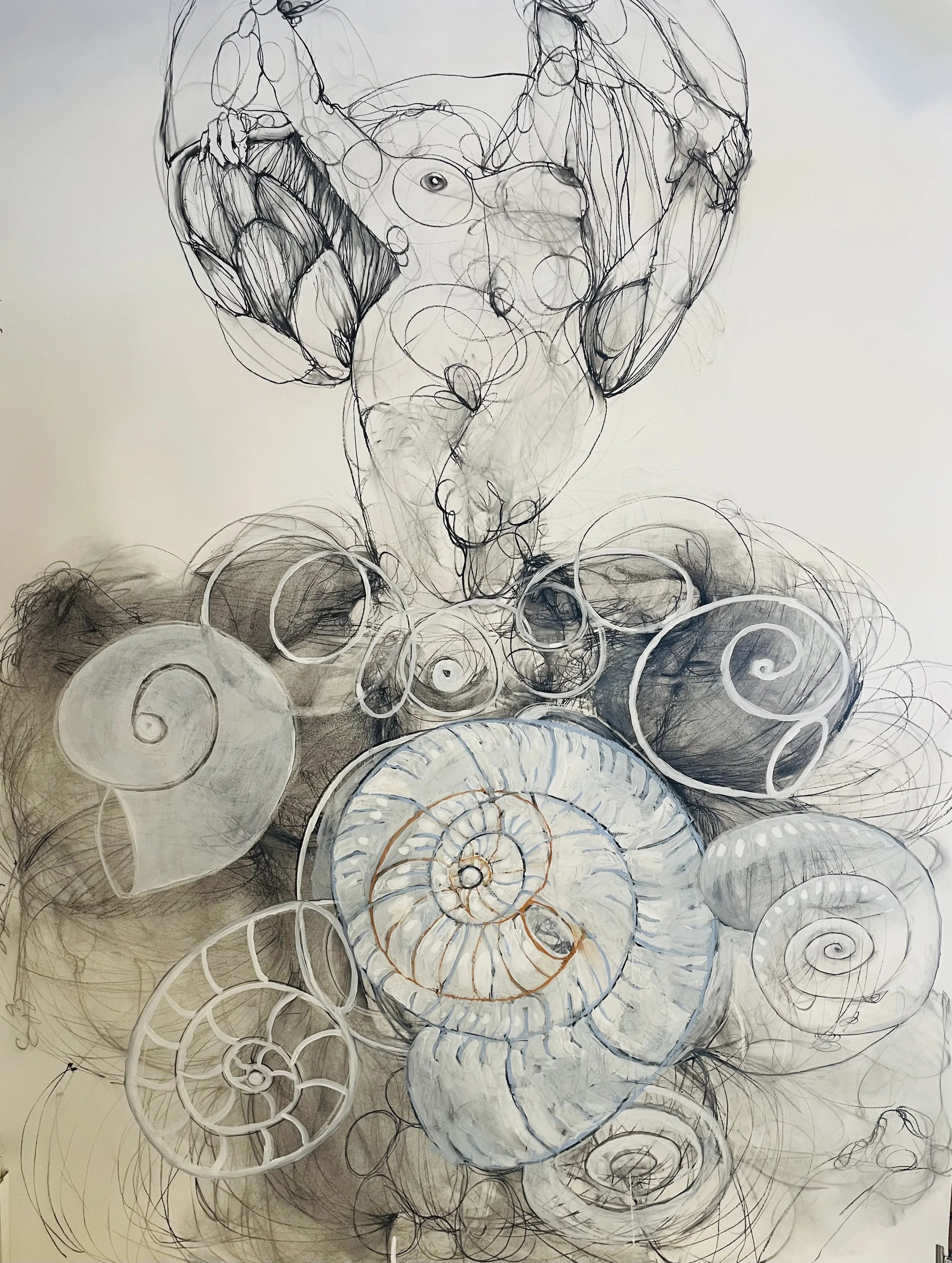 Simpukkatyttö, hiili paperille, 2025, Kuva: Jari Sorjonen