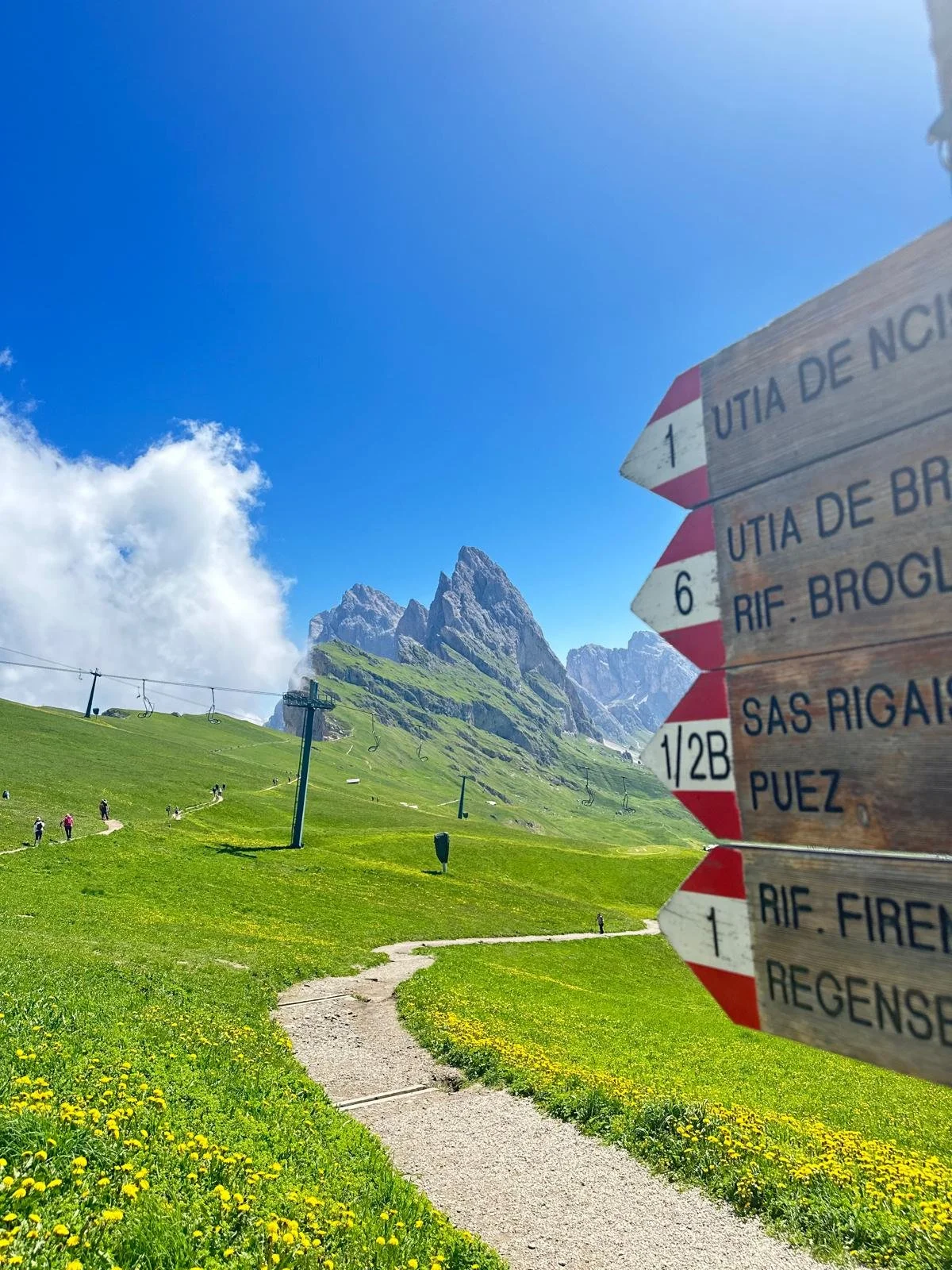 WhatsApp Image 2024-08-21 at 08.44.58.jpeg