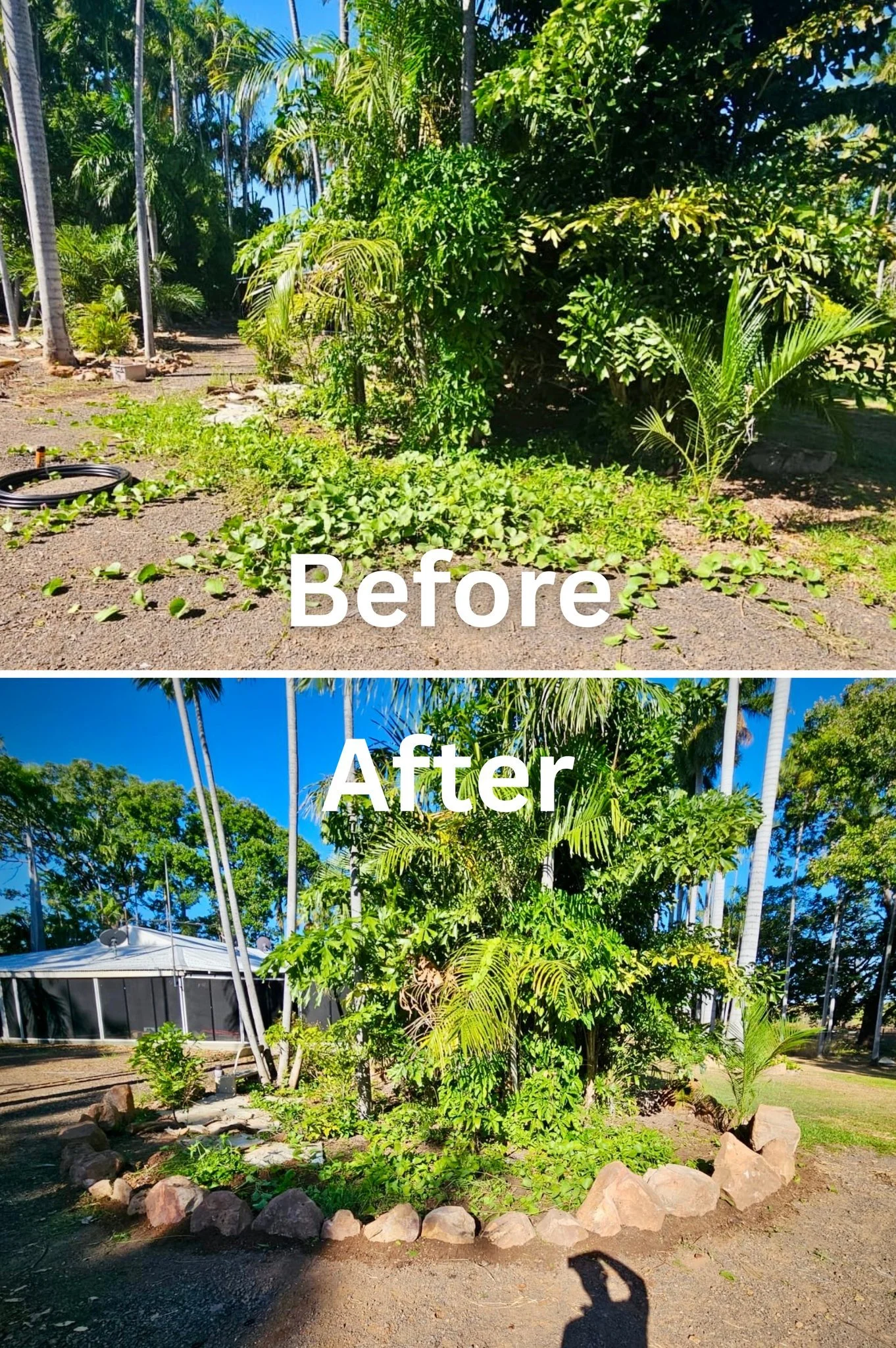 Before ➡️ After 💥
A full garden bed transformation &mdash; cleared, reshaped, and finished with a solid rock border.

What a difference a proper garden bed build makes!
From tangled growth to a clean, structured, rock-edged garden &mdash; all done i