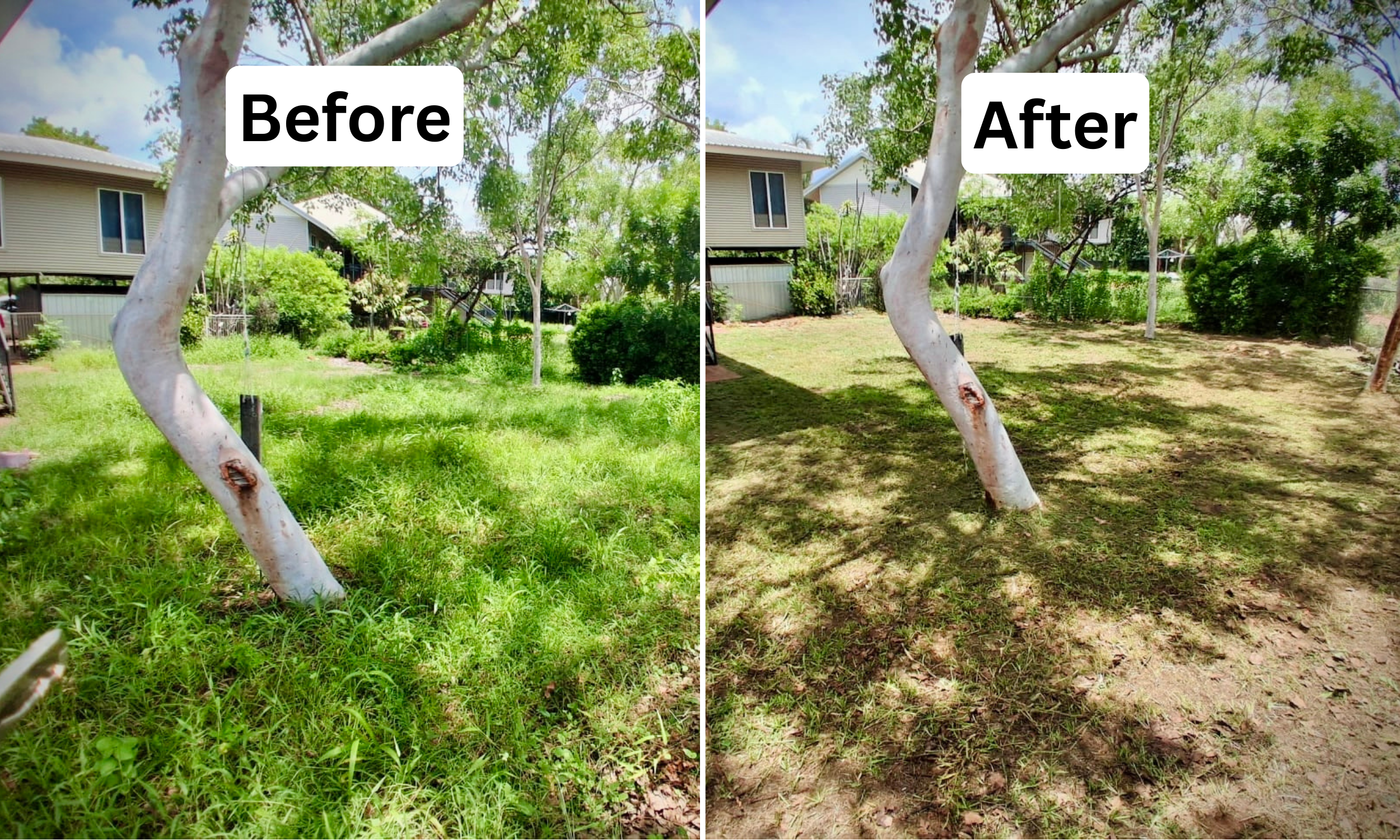 Wide Collage (4).png