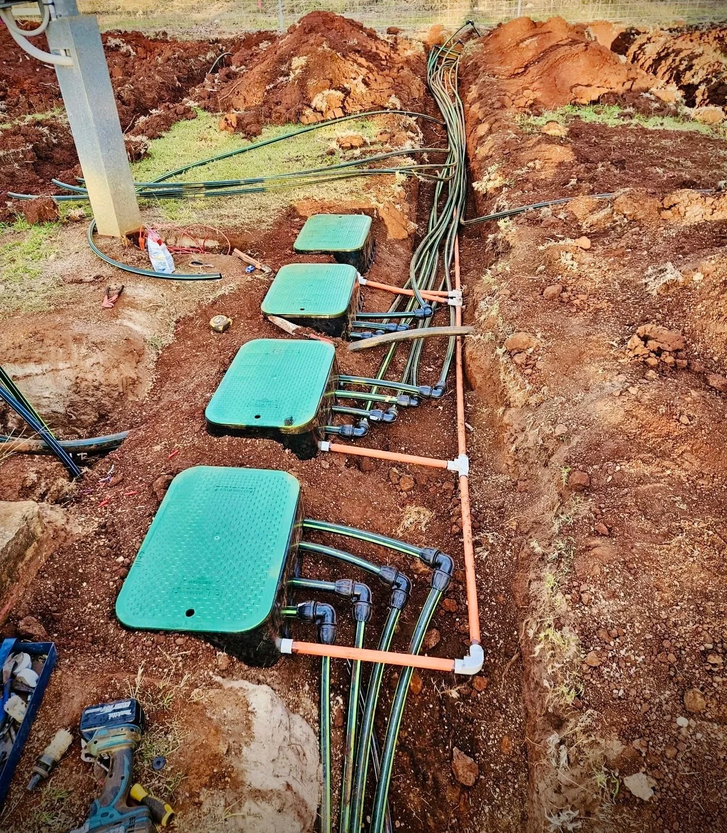 Sprinkler watering a lawn with trees in the background