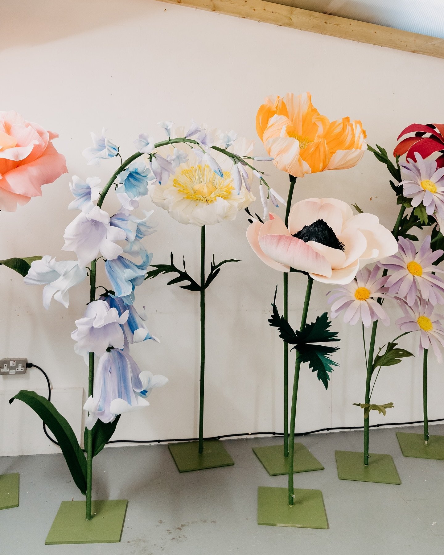 Roses, poppies, anemones, a bellflower and purple daisies 💞. All ready to rent for your event, wedding or celebration.
We are also starting to take bookings for next year (up to summer time) so please get in touch with your enquiries studio.fionagra