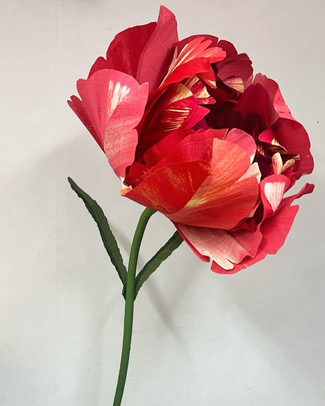 Introducing.. A double tulip in red 🌷&hearts;️

We&rsquo;ve been busy making some new flowers and colours ways over the last few weeks. 

First up is our red double tulip. Measuring around 55-60cm wide, she will be ready to rent alongside the rest o