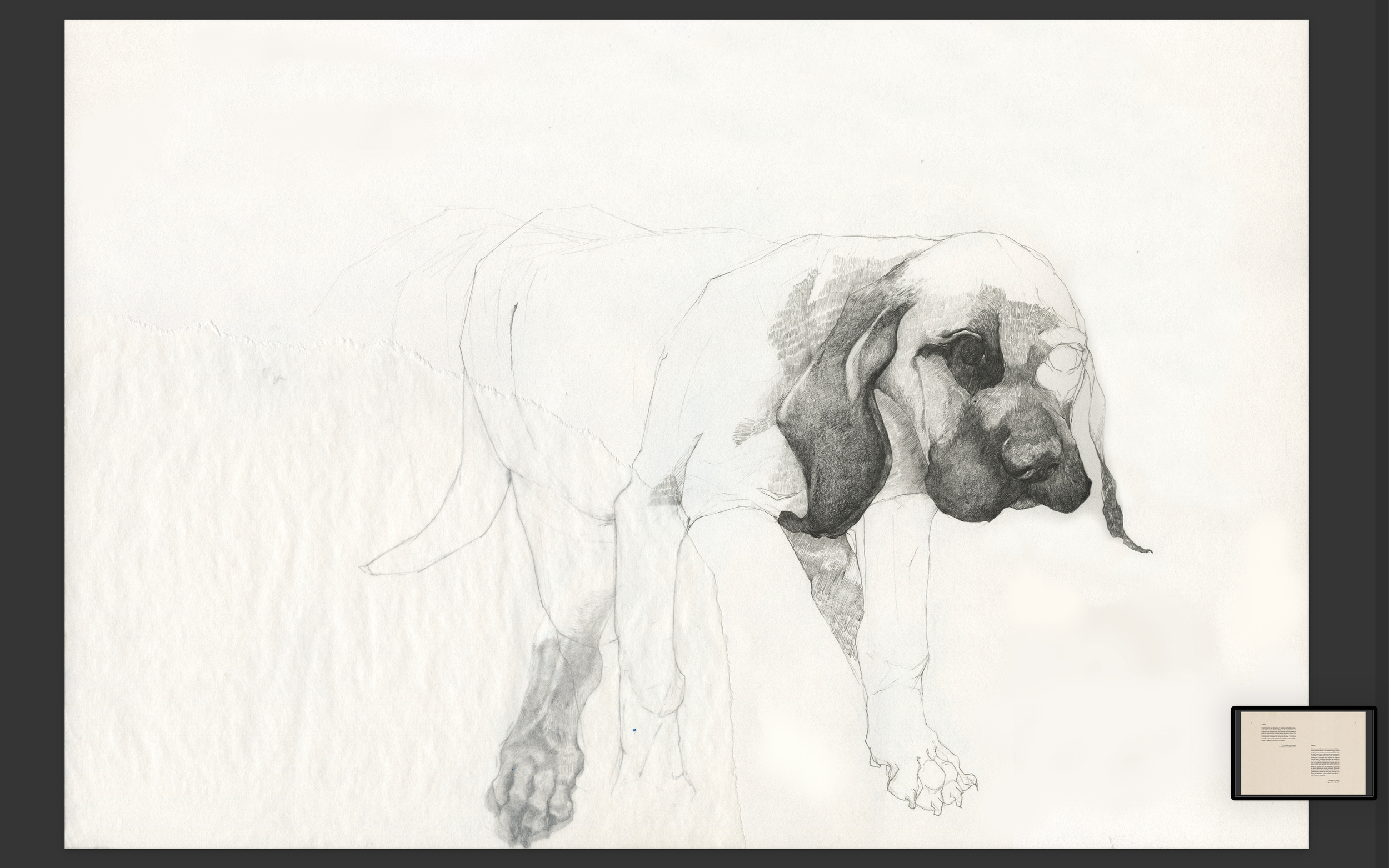 Captura de pantalla 2026-03-09 a la(s) 8.43.22 p.m..png