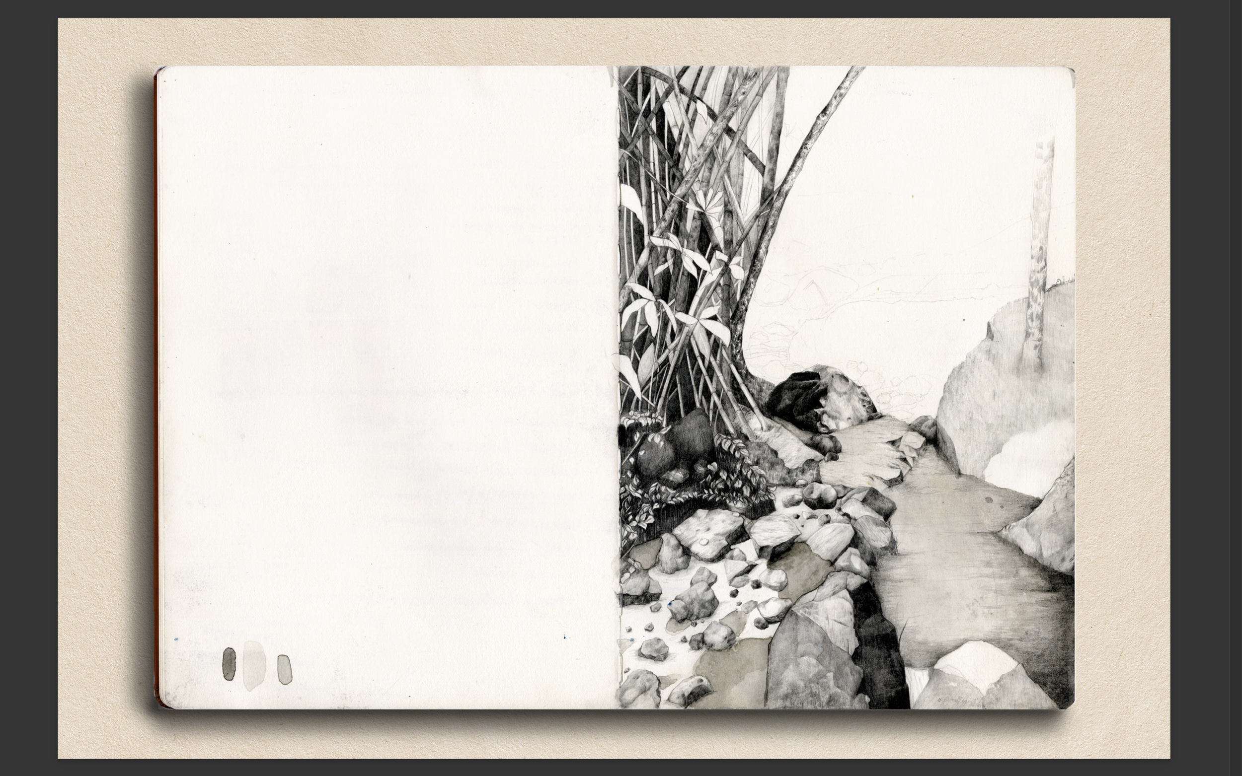 Captura de pantalla 2026-03-09 a la(s) 8.42.29 p.m..png