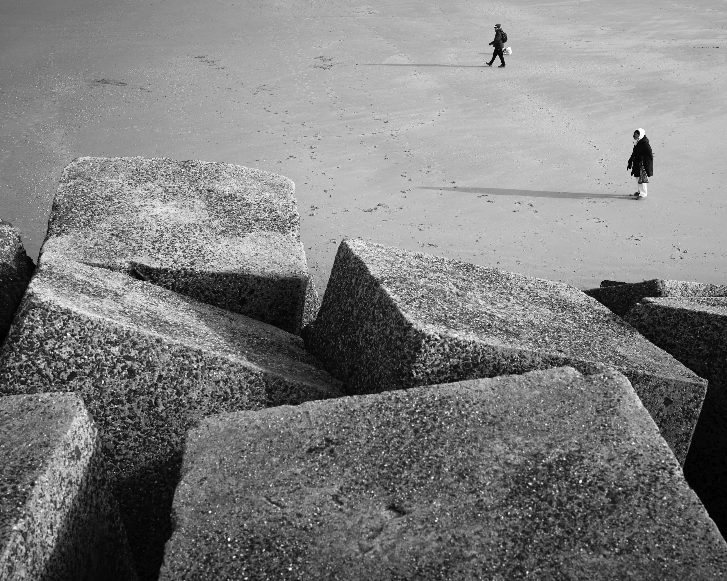 26-01-26 nordsee 313.jpg