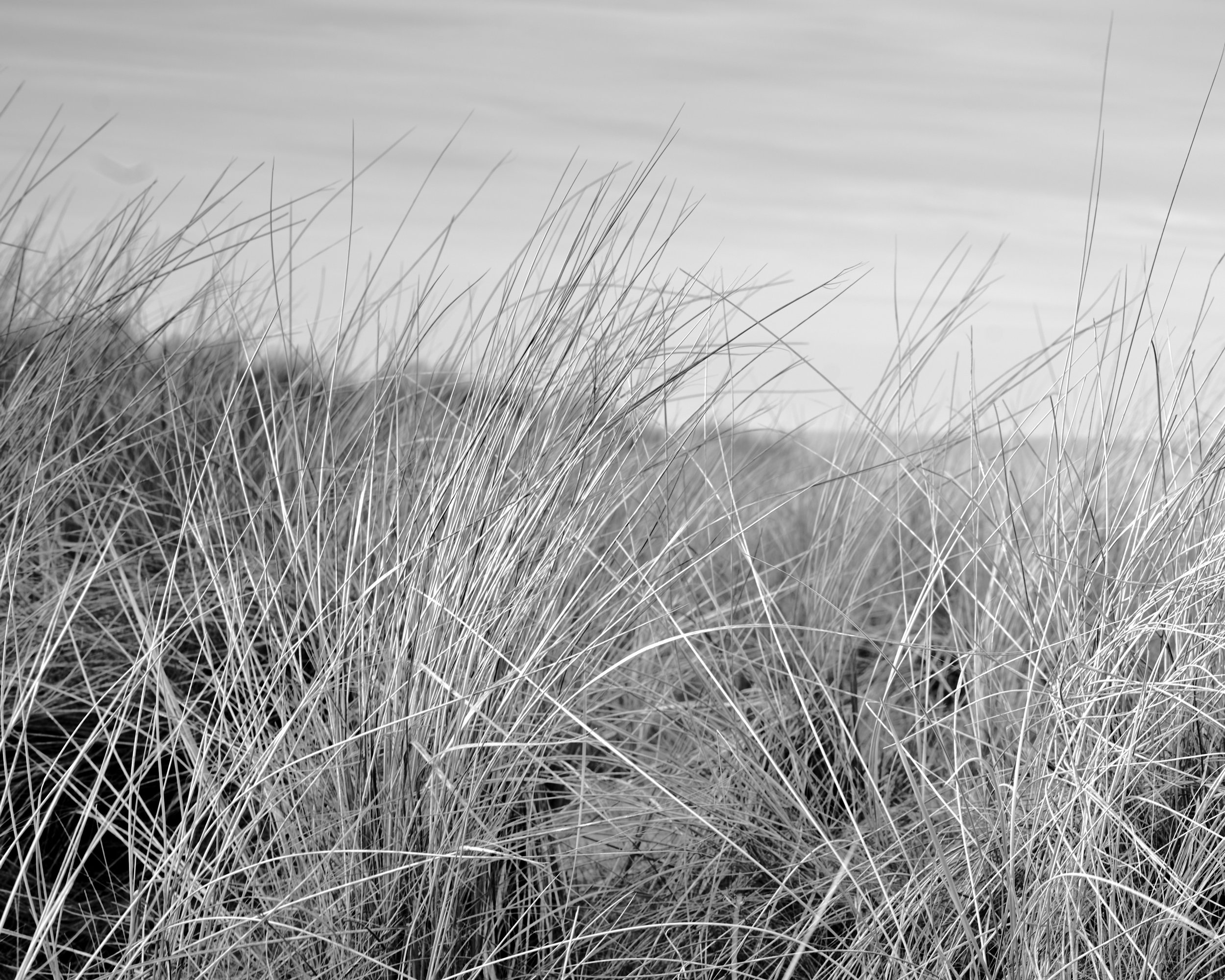 26-01-26 nordsee 270.jpg