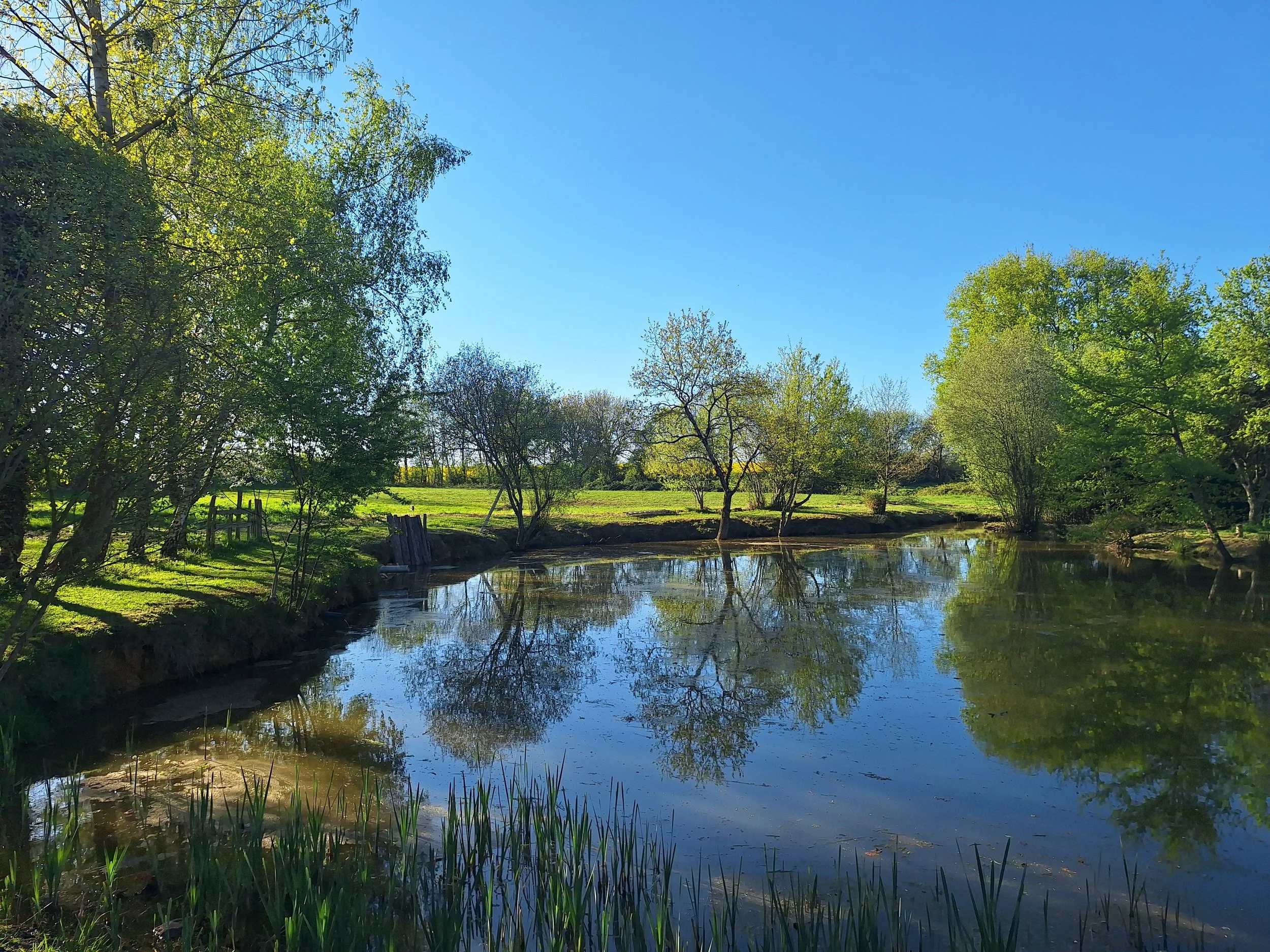 TOP 5 DES ACTIVITES A FAIRE EN FAMILLE PRES DU MANS