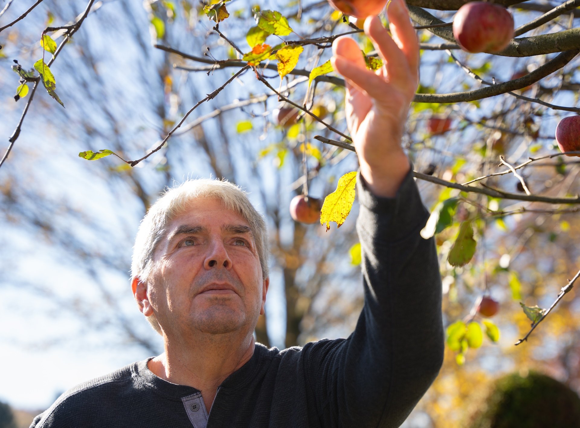 Reaching into fall branches, AskBio AskFirst program