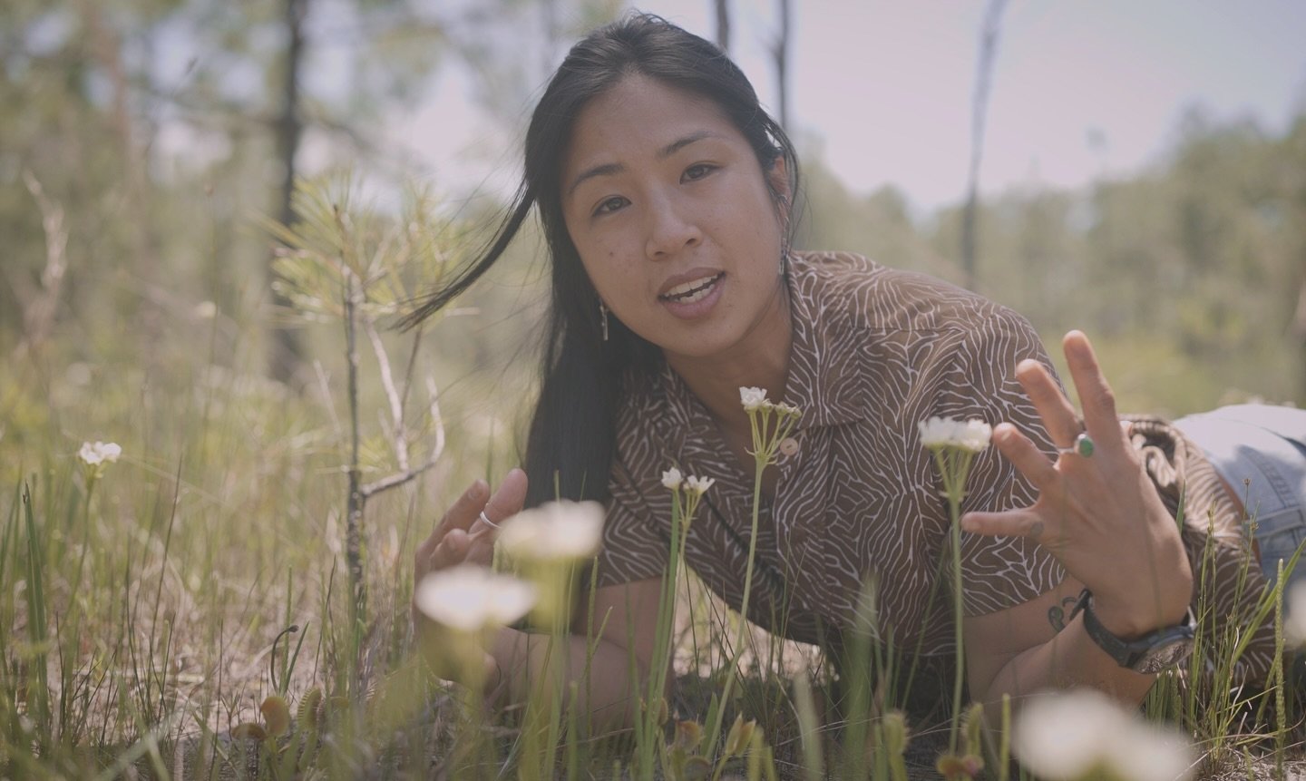 A few frames from yesterday&rsquo;s shoot for Documentary Filmmaker @robertfordfilm&rsquo;s upcoming project on Venus Flytraps in Boiling Spring Lakes. 

So excited to help bring this project to life in our backyard 🌱 

Thanks to our awesome crew fo