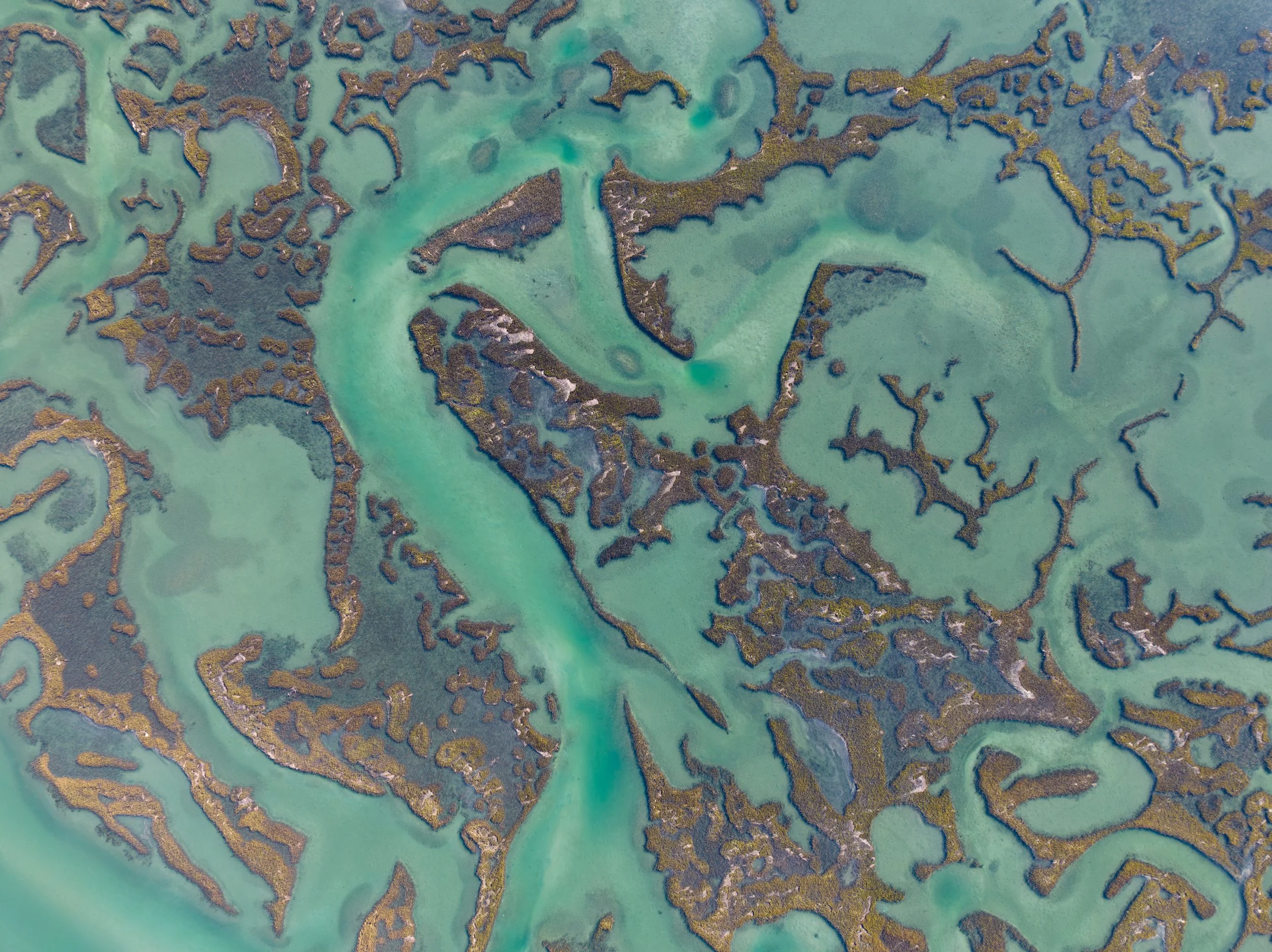 Tidal marsh channels from above, Wrightsville Beach aerial