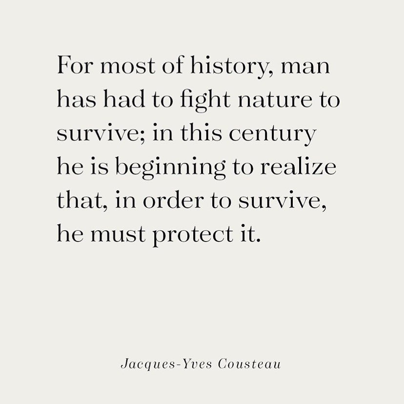 Truer words. Miss him. 💕

#cousteau #oceanlover #ocean

Repost from @davidmderothschild
