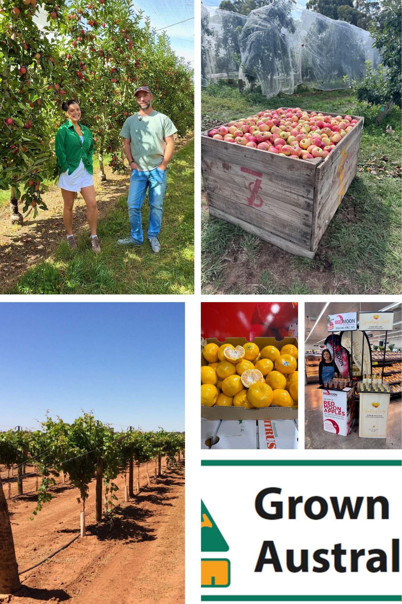 People standing in an apple orchard, a large wooden crate filled with freshly picked apples, a display of yellow citrus fruits, a woman at a fruit stand with apple juice and displays, rows of grapevines, and a sign that reads 'Grown Australia.'