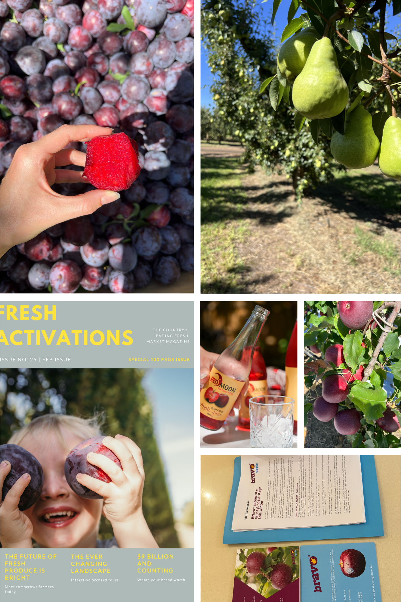 Collage of images featuring fresh apples and pears, a magazine cover about fruit activations, and a child holding large purple and red plums.