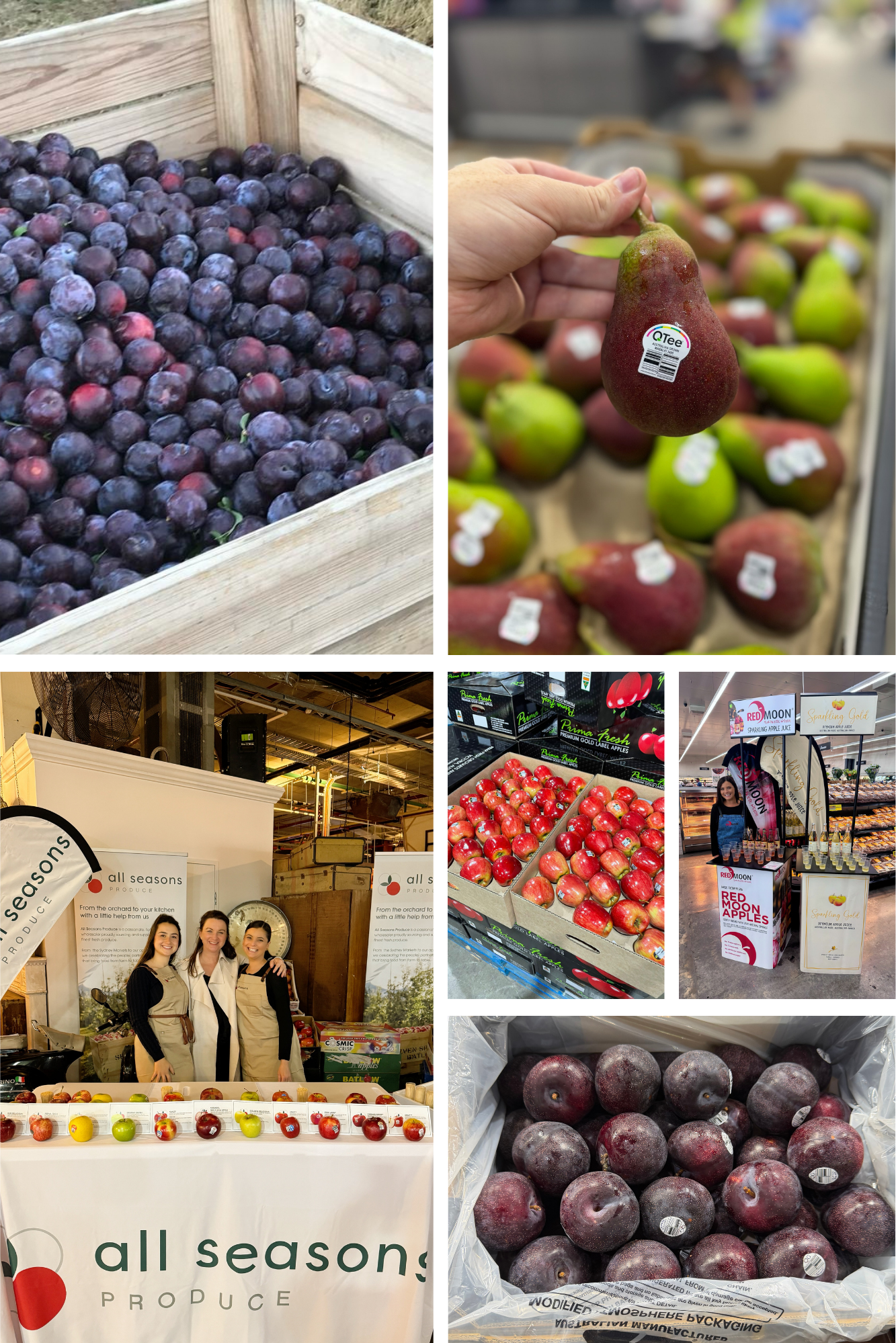 fresh produce marketing agency australia