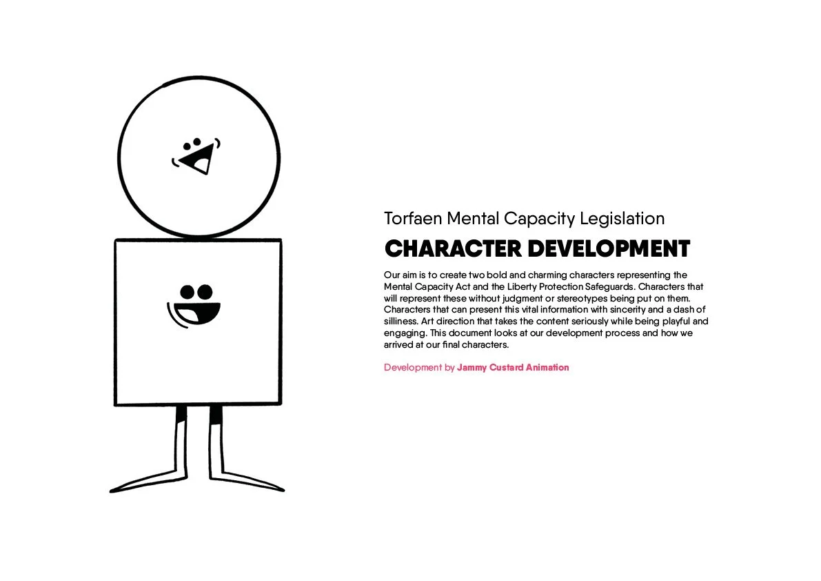 Torfaen MCL Development Board.jpg