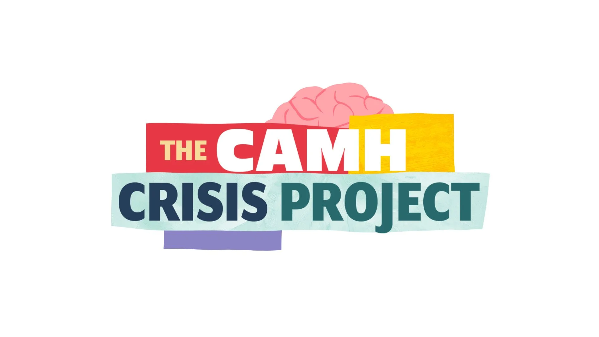 CAMH Crisis Test Title.jpg