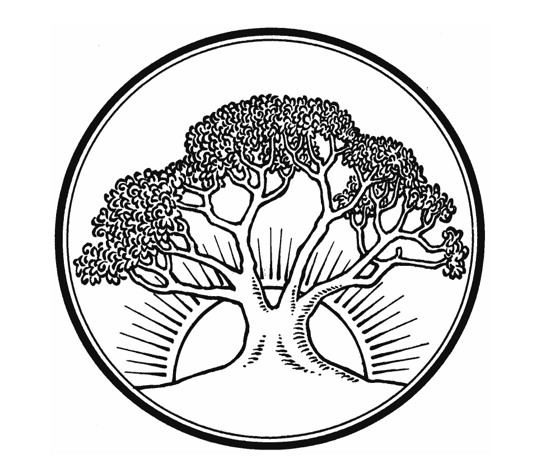 Second Sunday in Advent (Populus Zion)