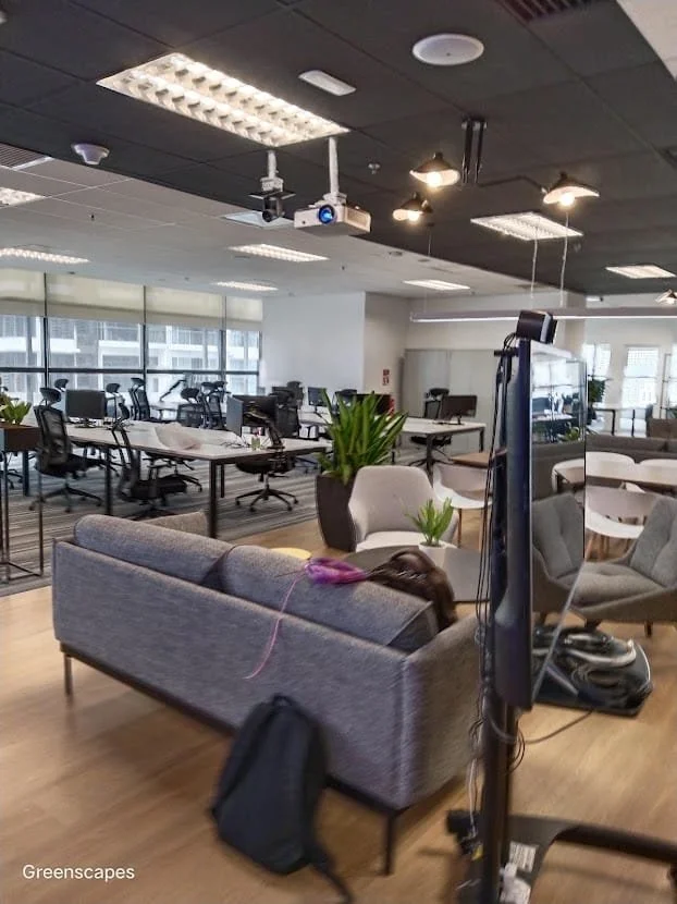 A modern office lounge area with a gray sofa, white armchairs, potted plants, and a large window with city views. There is a large screen or monitor on a stand, and surrounding workstations with chairs and computers in the background. Overhead lighti