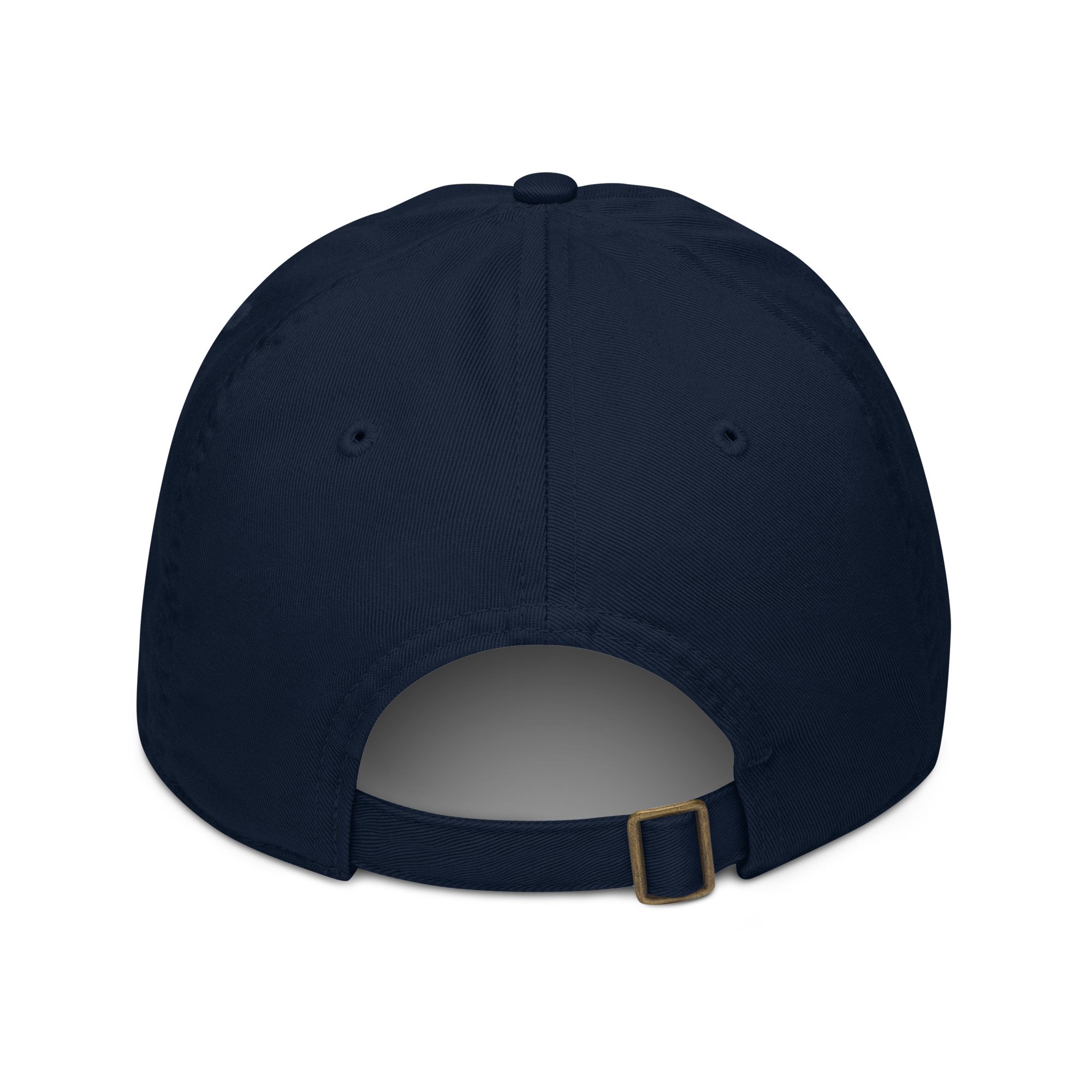 organic-baseball-cap-pacific-back-66c879b09380b.jpg