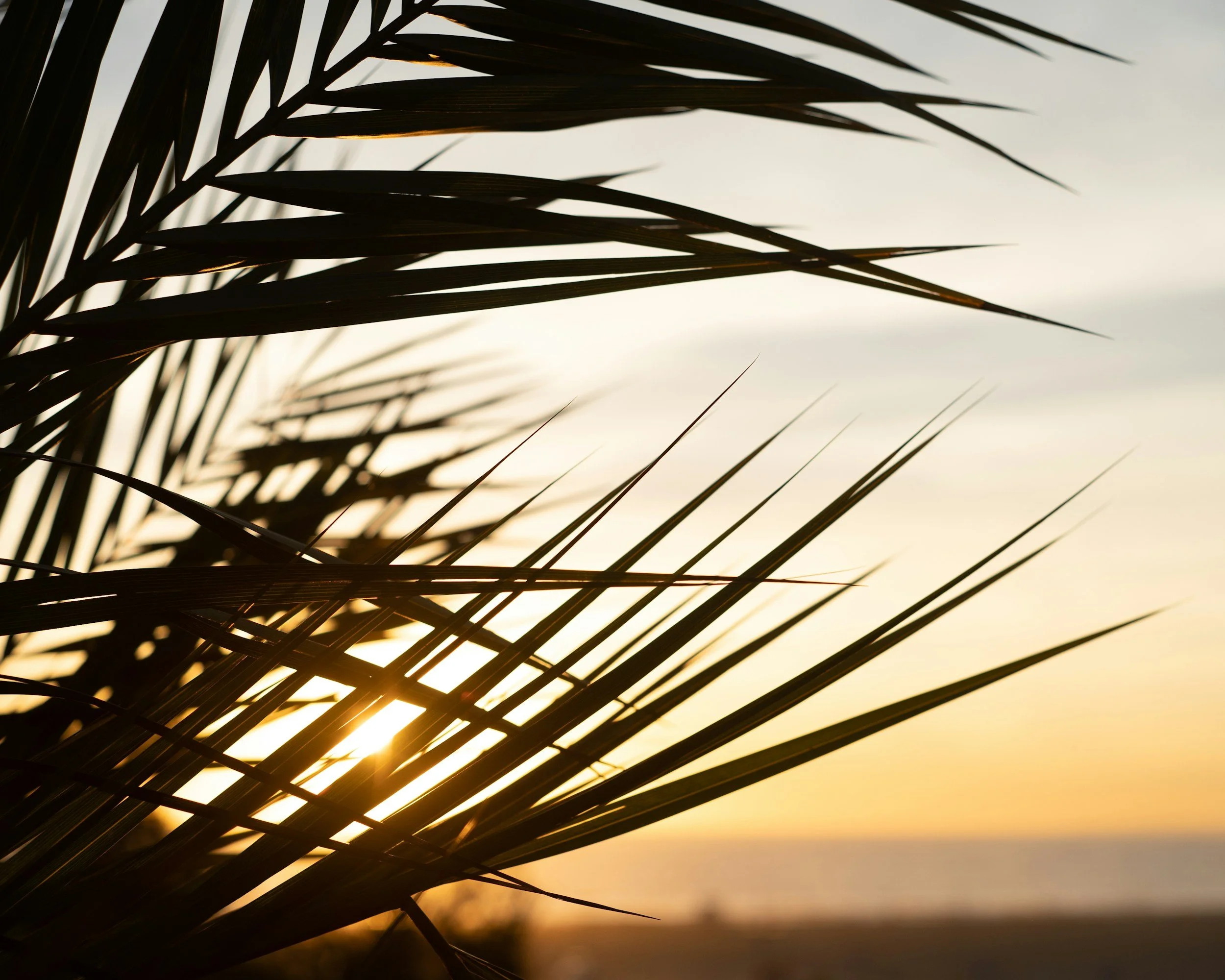 Attachment Healing Therapy in Houston, TX