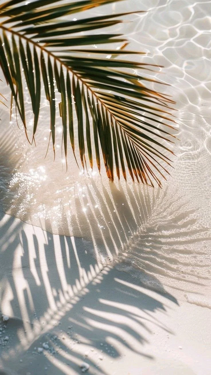 Palm leaves casting shadows on a sandy beach with gentle waves.