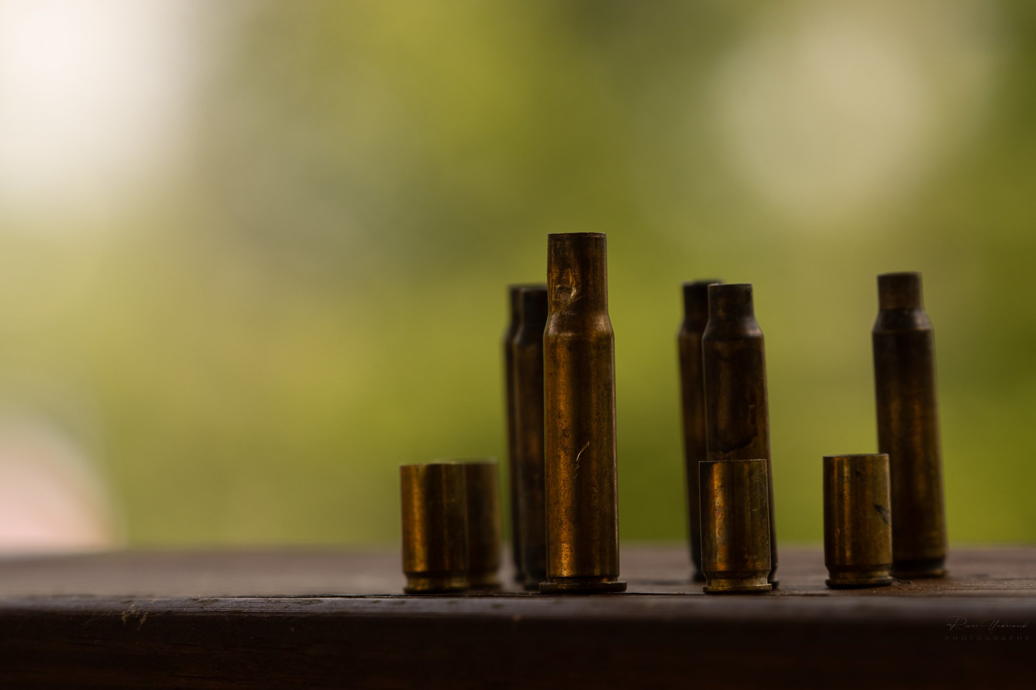 BR Stay and Shoot SMALL-50.jpg