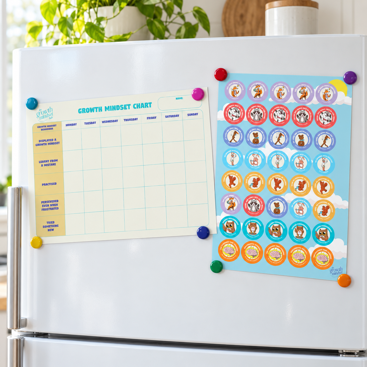 Fridge sticker chart mock up.png