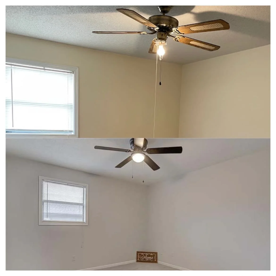 WhatsApp Image 2024-08-22 at 6.46.13 PM.jpeg