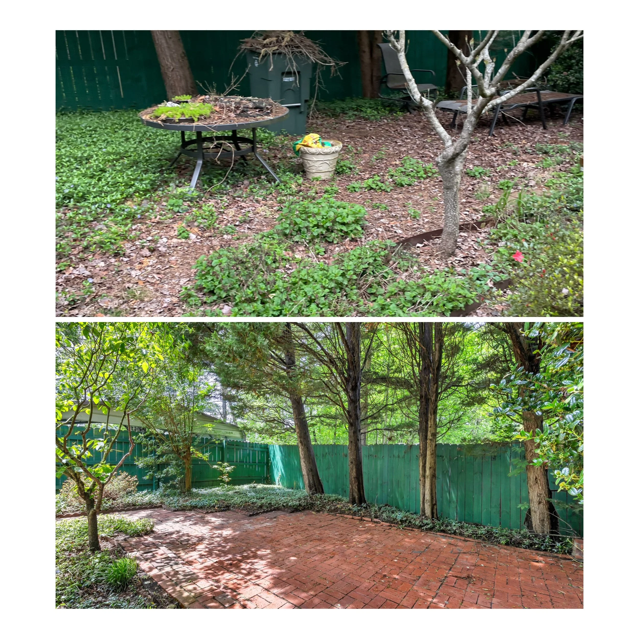 WhatsApp Image 2024-08-22 at 6.46.07 PM (1).jpeg