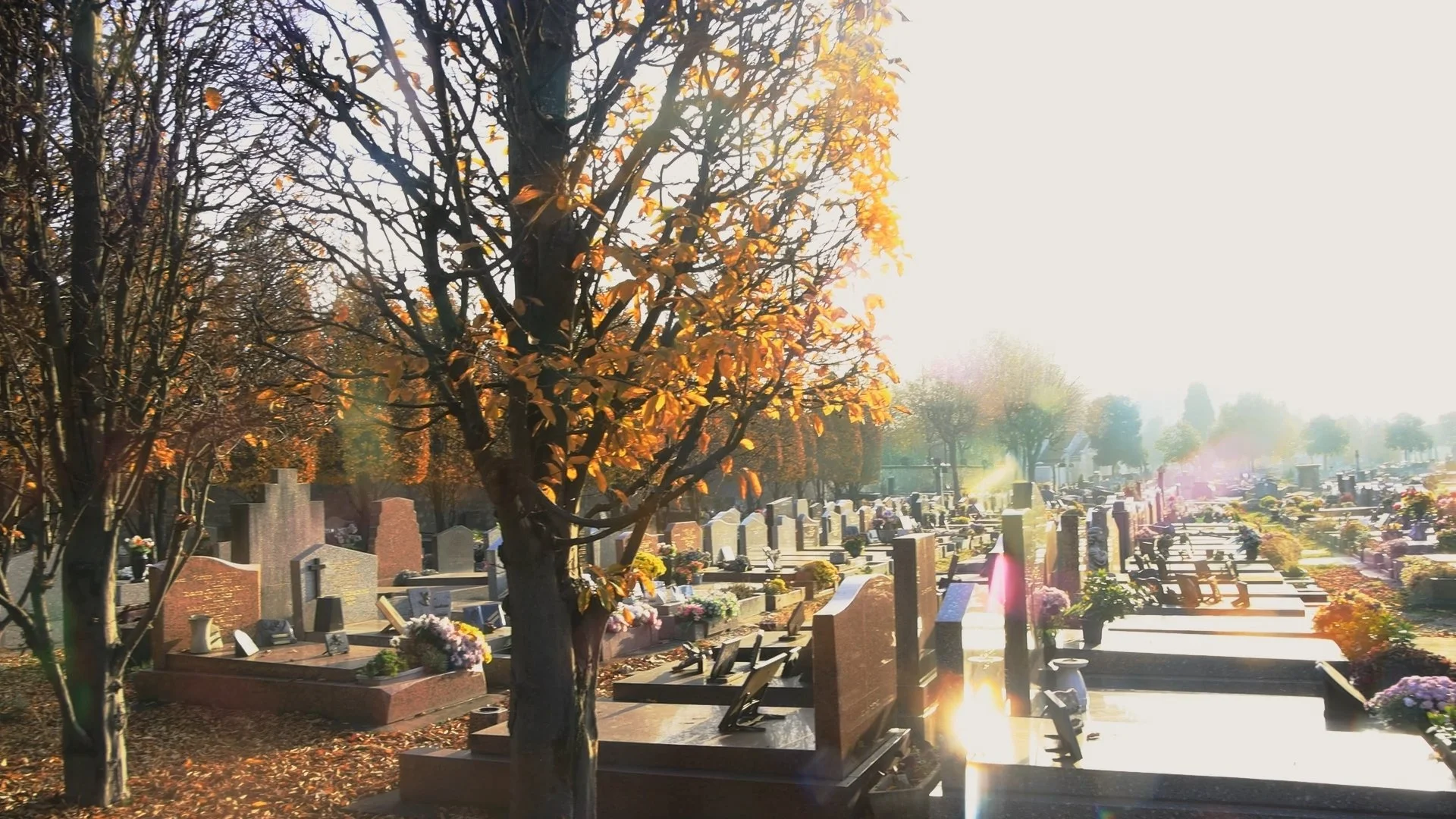 Killing words - graveyard_1.122.8.jpg