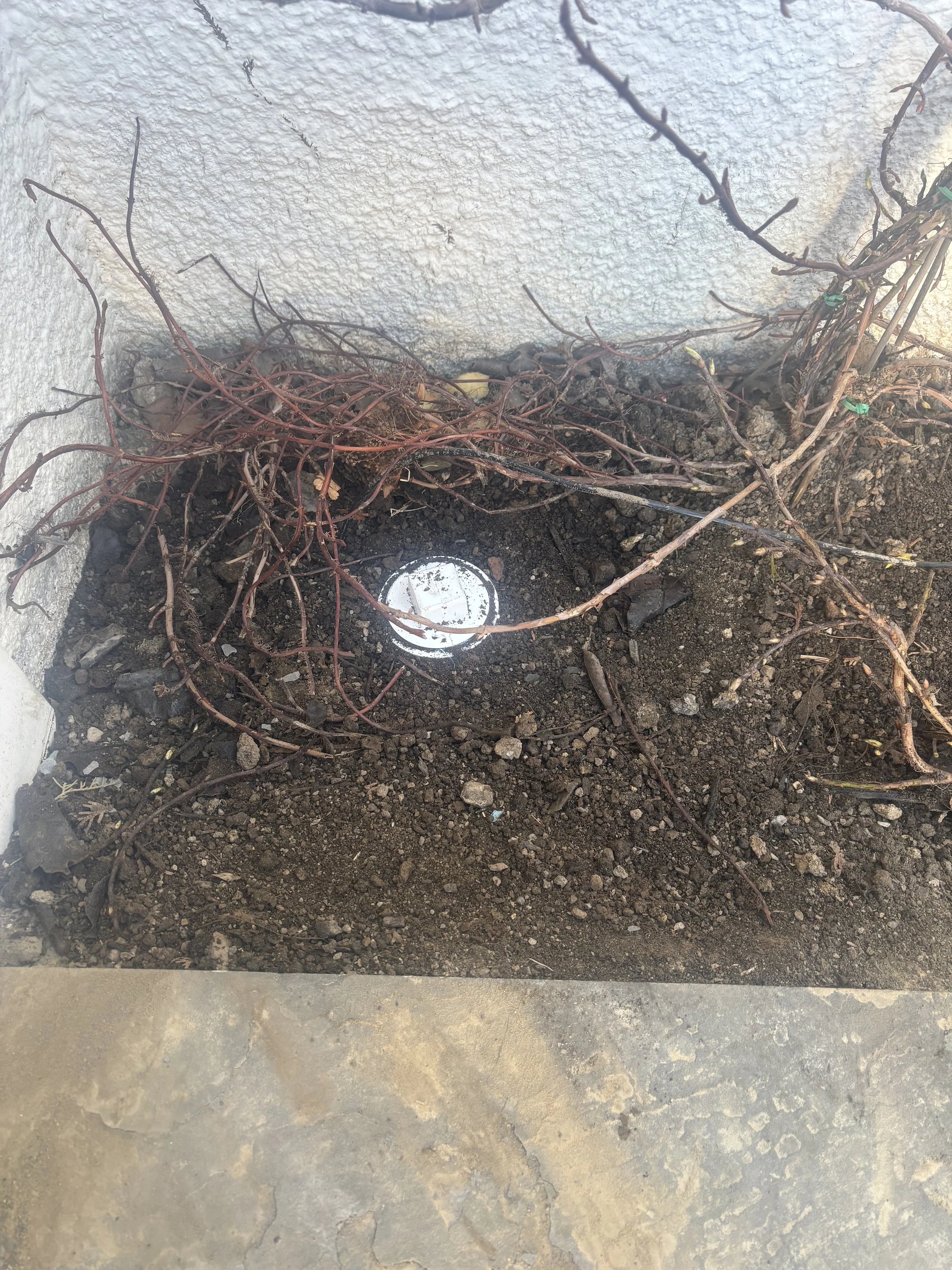 Residential main sewer clean-out installation by RonJon Plumbing in Sunbury, Ohio, providing ground-level access to the main sewer line for easier maintenance and inspection.