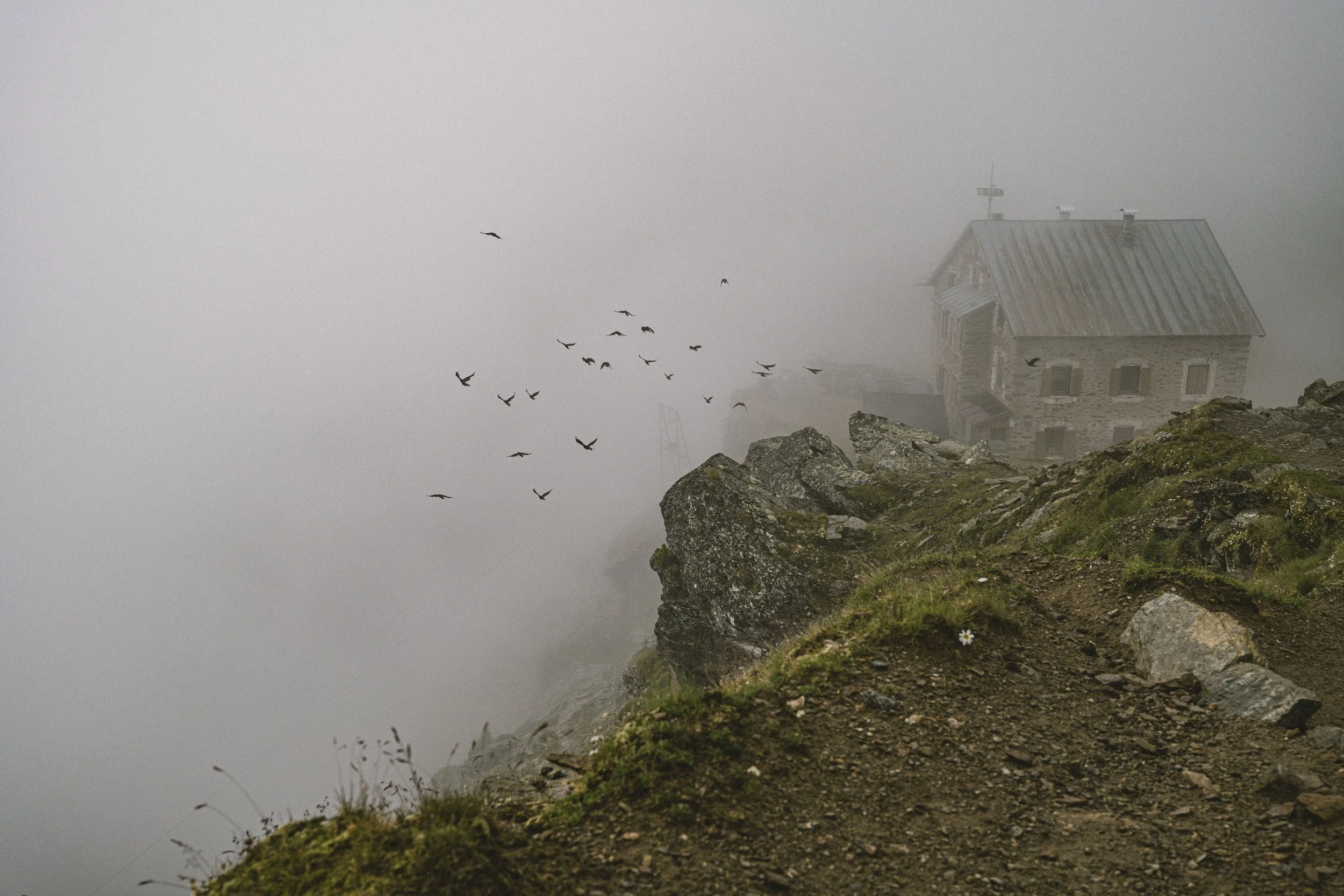 MH_202607_Vertainspitze_Ortler_Sassolungo_lores__0053.jpg