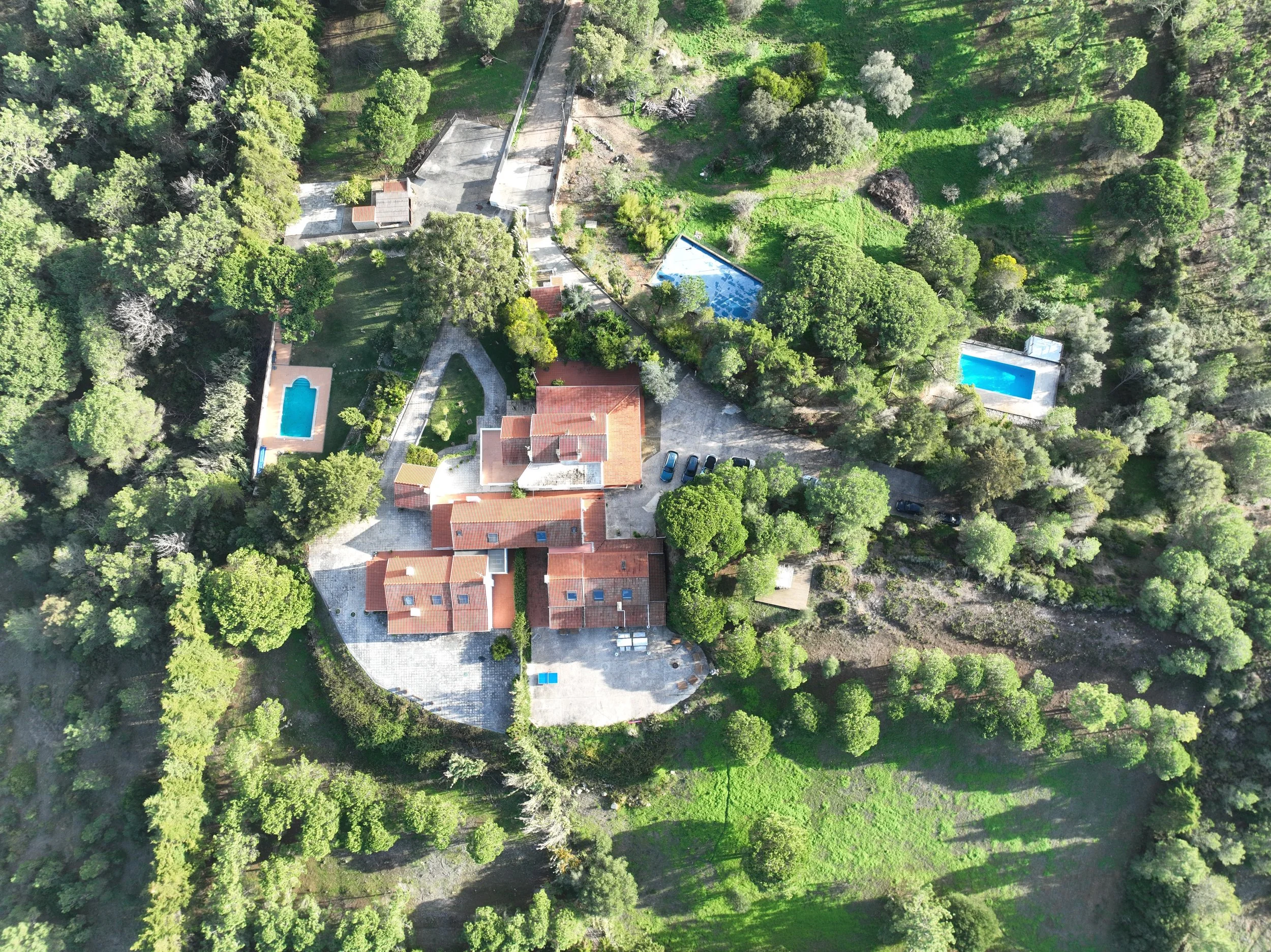 Copy of drone2 houses.JPG