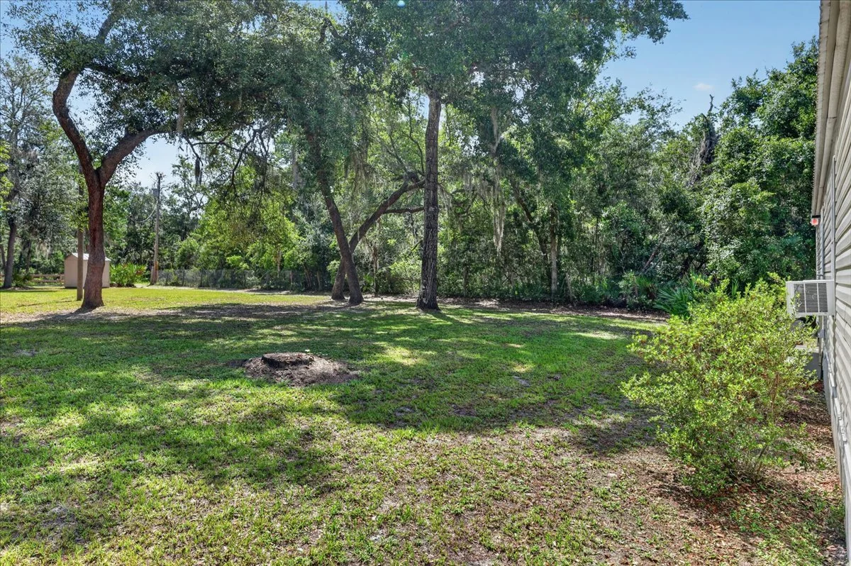 37-103- Backyard.jpg