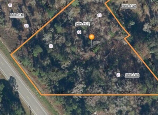 $43,900 l 0000 S HIGHWAY 17, Crescent City, FL 32112
