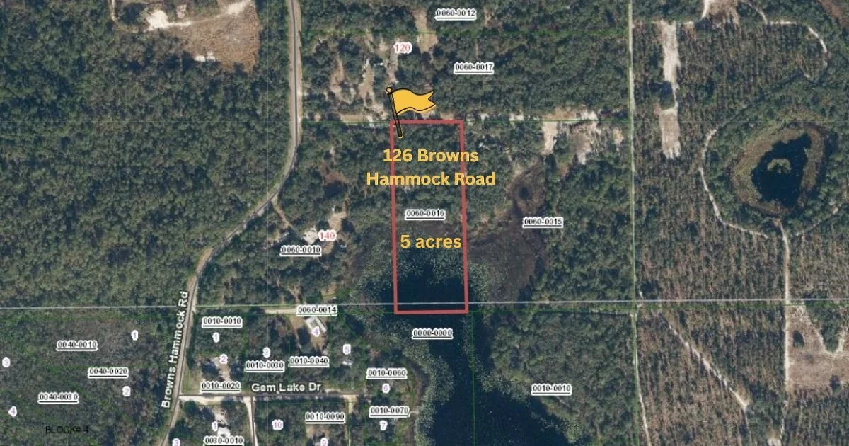126 Browns Hammock Road.jpg